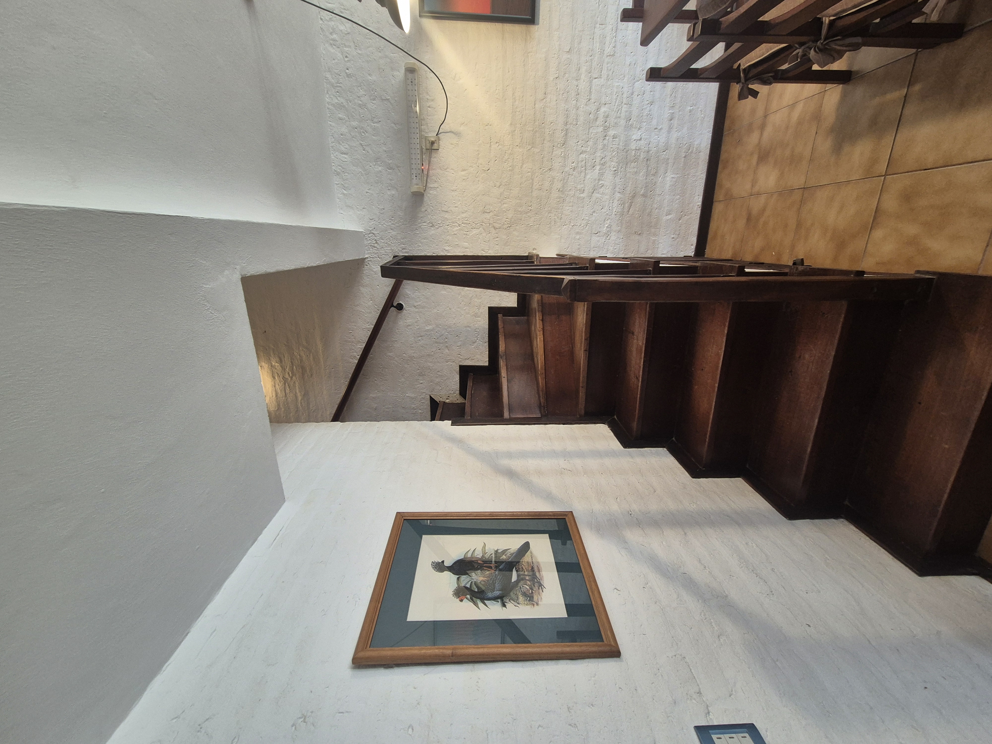 Old Country Depto 4 foto 17